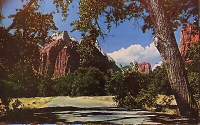 Zion National Park Utah Postcard