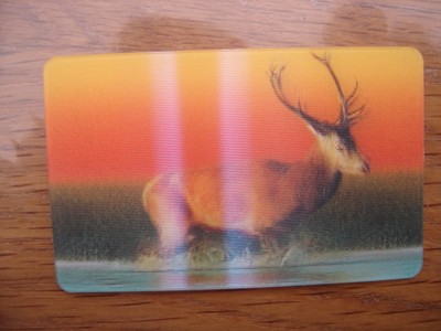 2014 Carte animée CORA Collector Animaux Animals GORILLE 23/44 