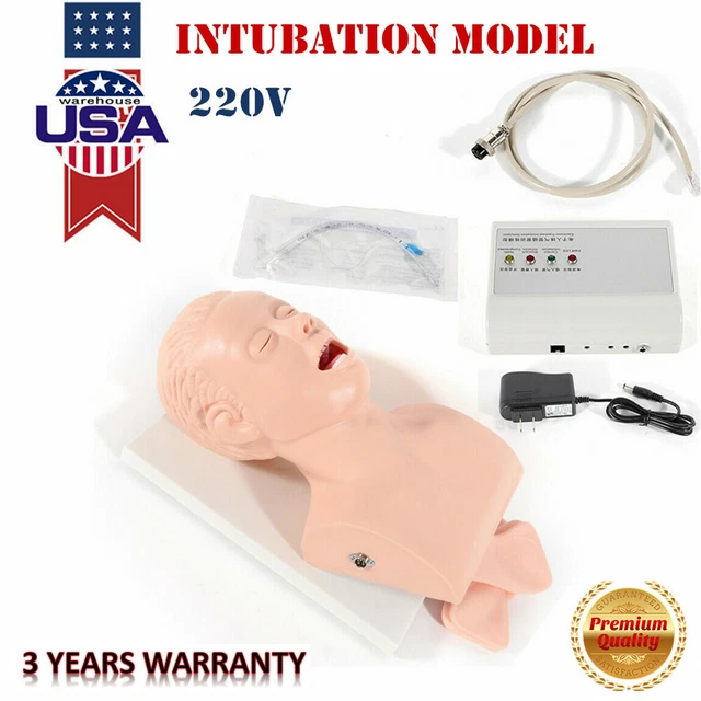 Adult Airway Management Trainer Model Lab Oral Intubation Manikin Study Teaching