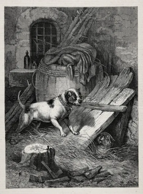 Dog Staffordshire Bull Terrier Versus Feisty Cat, 1870s Antique Engraving Print