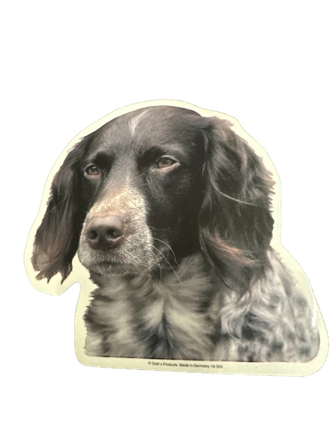 Pegatina de perro codorniz alemán nueva aprox. 15 cm