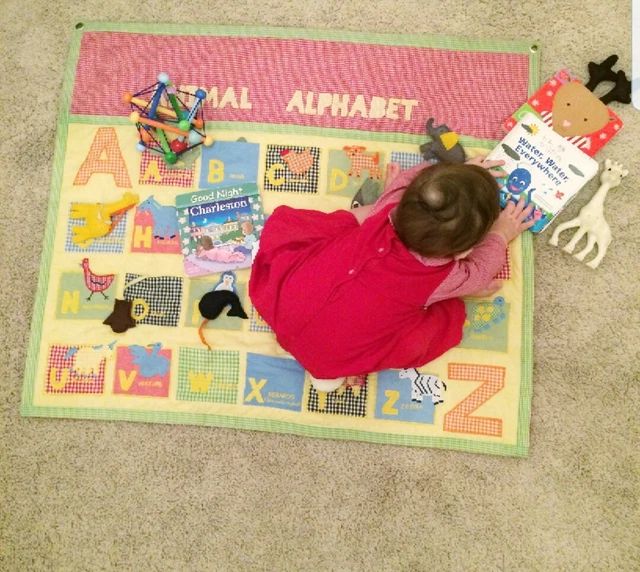 POTTERY BARN KIDS Quilted Gingham Animal Alphabet Nursery Baby Wall