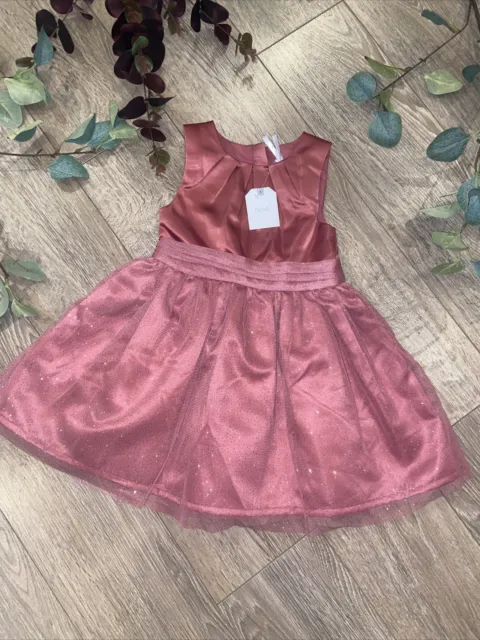 NEXT girls beautiful dusky rose tulle sparkle party occasion dress BNWT 3yrs