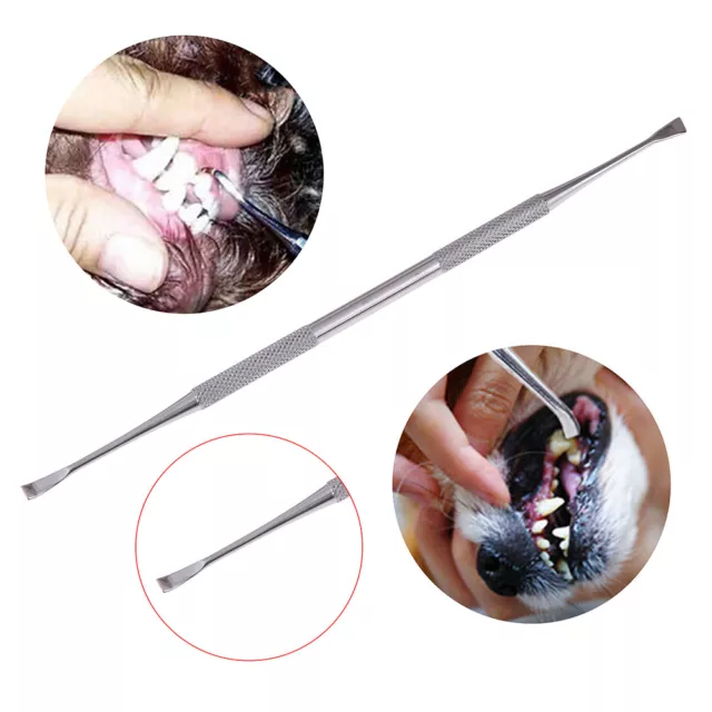Pet Dog Scaler Remover Scraper Tartar Calculus Tooth Dental Teeth Tool AnimaCEFY