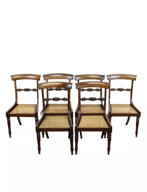 Beautiful Set Of Six William IV  Rosewood Dining Chairs