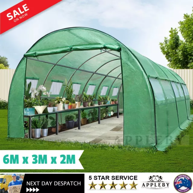 Large Walk In Greenhouse Hot House Garden Plant Shed Green 6M Tunnel