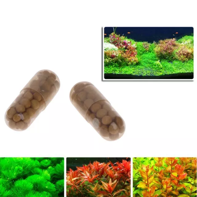 Aquarium Plant Seeds Soil Fish Tank Accessories Aquatic Float Water Grass 40pcs