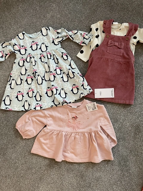 BNWT Baby Girl 9-12 Bundle Dresses Top Jumper Next & M&S