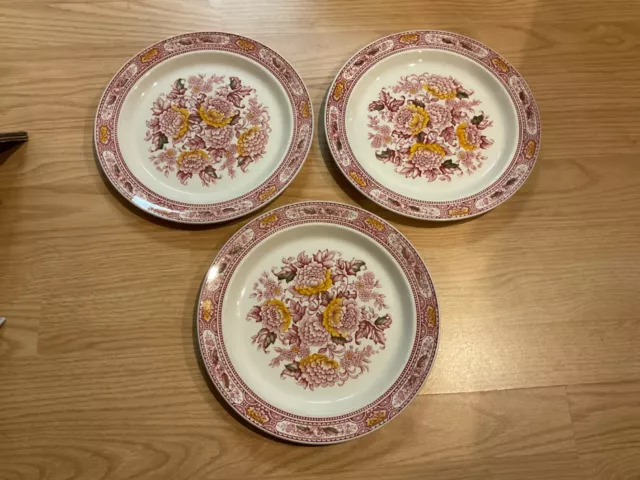 Set of 3 Ridgway Canterbury Staffordshire England Dinner Plates Free Shipping