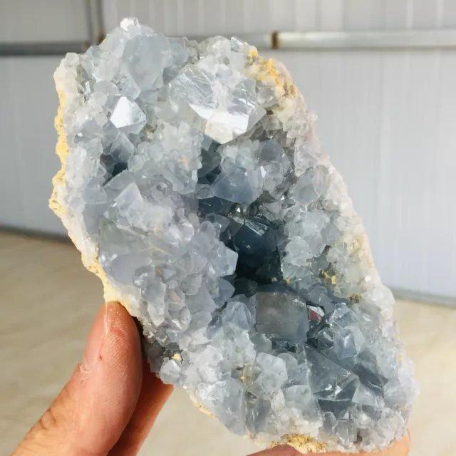 500G Natural Blue Celestite Geode Quartz Crystal Mineral Specimen  N57