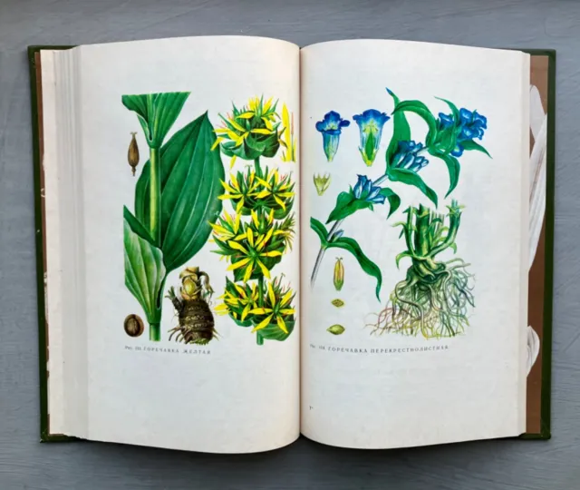 1976 Herbal Medicine libro sovietico