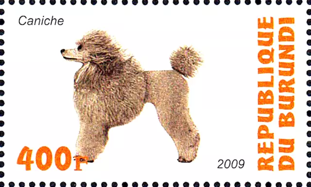 MNH postfrisch Tier Haustier Hund Rasse Pudel Tierwelt Fauna Natur / 1459