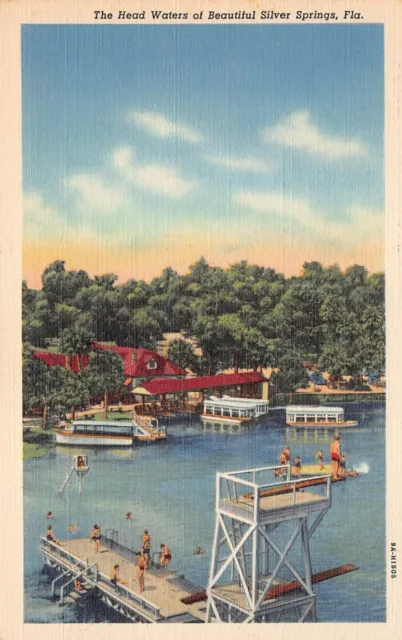 Ocala Silver Springs FL Florida 1930s Glass Bottom Boat Mermaids Vtg Postcard Q3