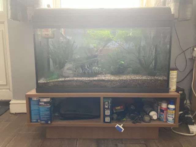 110l Interpet fish tank aquarium and accessorys