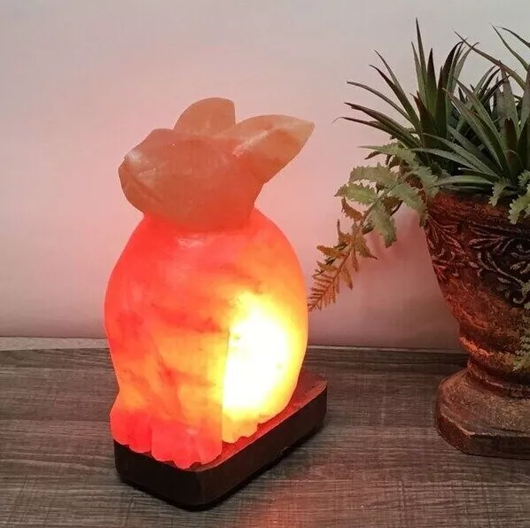 Natural Himalayan Pink Salt Bunny Shape Lamp, Dimmer Switch Ionizer Lamp 8 Inch