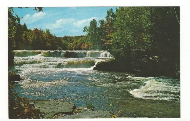 Vintage Postcard - Lower Tahquamenon Falls - Upper Peninsula Michigan - UP - MI
