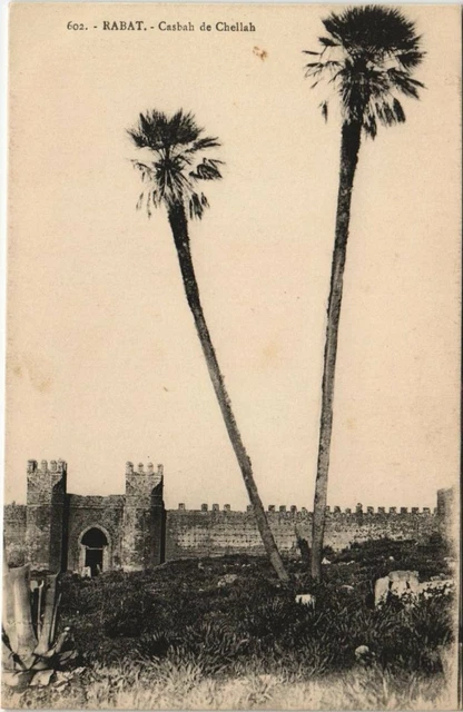 CPA AK MAROC RABAT Casbah de Chellah (31471)