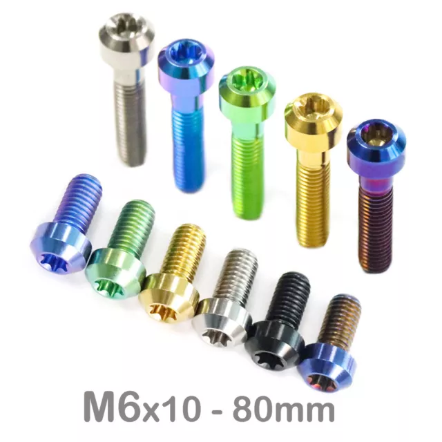 M6x10/12/15/20/25/30/35/40/45/50/55/60/65/70/75/80mm Titanium Screws Ti Bolts