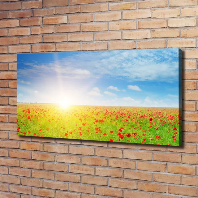 Tulup Image Sur Toile Tableau Imprimé 120x60cm - Champ De Coquelicots