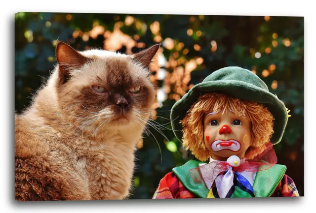 Lienzo/Marcos Gato gruñón con las imágenes del gato del payaso gatos