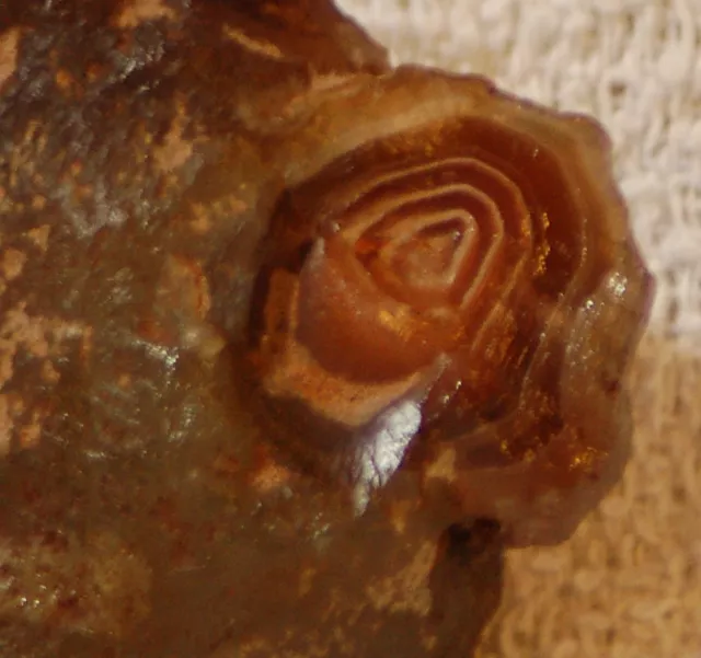 Botswana banded agate 2.0 oz lapidary nodule piece