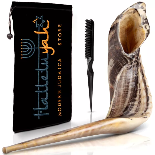 HalleluYAH Kosher Shofar: 14"- 16" Ram Horn | Made In Israel From Jerusalem