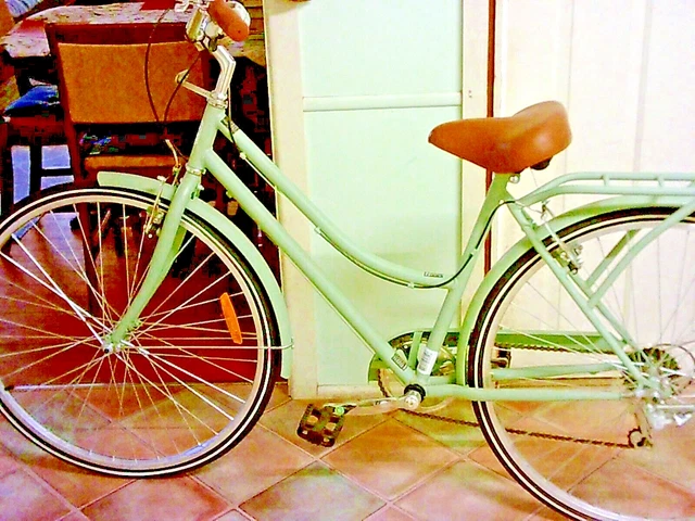 Holland vintage cruiser outlet