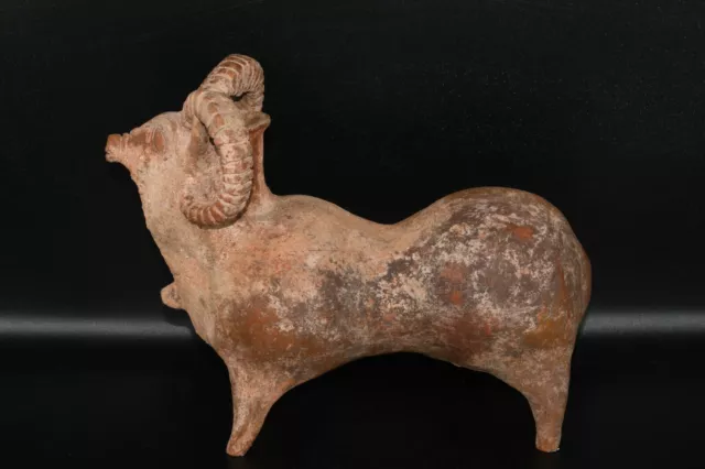 Rare Large Ancient Amlash Terracotta Animal Rhyton Circa 	1200 BC to 800 BC 3