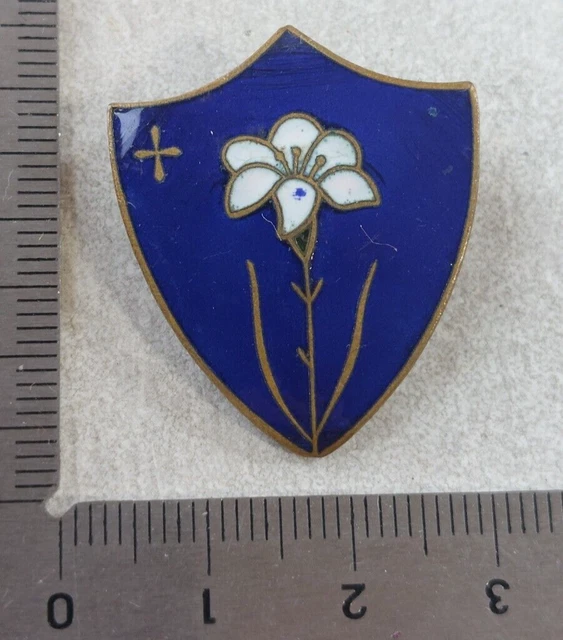 Ancienne Broche / Insigne émaillé - Blason Avec Fleur De Lys - À Identifier - Occasion