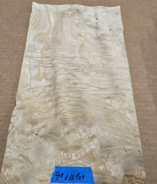 White Ash Burl wood veneer 9" x 16" raw no backing 1/42" thickness A grade