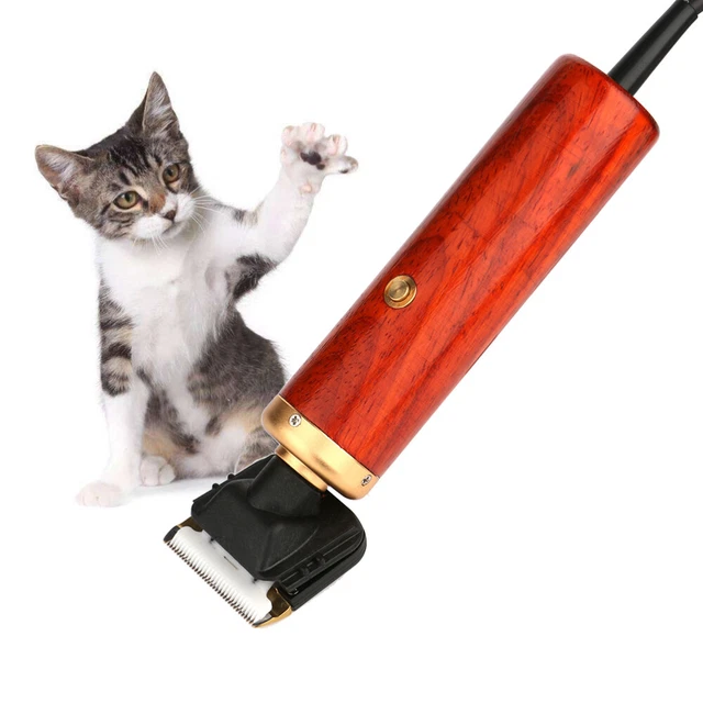 trousse de toilettage professionnelle pour tondeuse à poils de chien, puissance