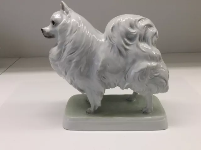 Rarität Rosenthal Porzellan figur Spitz  Hund Top