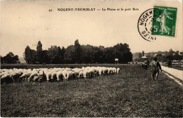 CPA Nogent La Plaine et le petit Bois FRANCE (1337966)