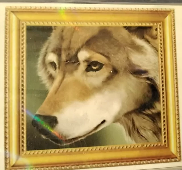 WOLF 48 X 48 cm 5D  Diamond Painting Embroidery Kit UK lot 5