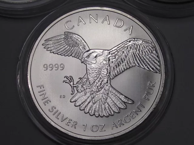 3 BU 2014 CANADA "FALCON" 1oz .9999 Silver $5 Maple Leaves In Capsules.  #5