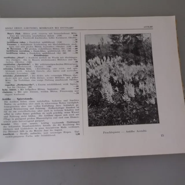 Adolf Ernst 84 Seiten Katalog Winterharte Zierpflanzen 1927 (50740) 3