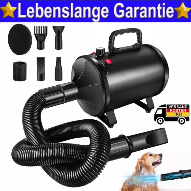 Profi Hundefön Tierfön Pet Dryer Flüsterfön Hundetrockner 2800W Metall Schwarz