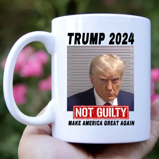 DONALD TRUMP 2024 Not guilty, Mug Shot photo, Trump 2024 11oz Ceramic
