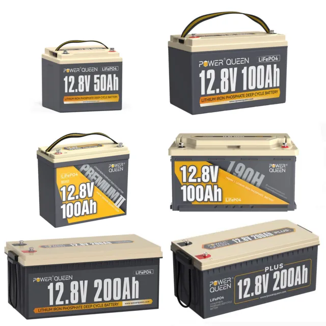 12V 200Ah 100Ah 50Ah Lithium Batterie LiFePO4 Akku BMS für Solar Wohnmobil Boot