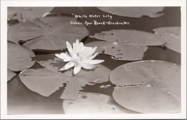 "White Water Lily", Silver Spur Ranch, GRESHAM, Wisconsin Real Photo Postcard