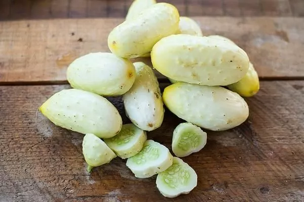 Gurke White Wonder - Cucumber 5+ Samen - Saatgut - Seeds - Graines  Cu 032