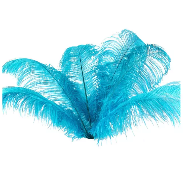 10 Piezas de Plumas de Avestruz Naturales DecoracióN para Fiesta de Boda La8059