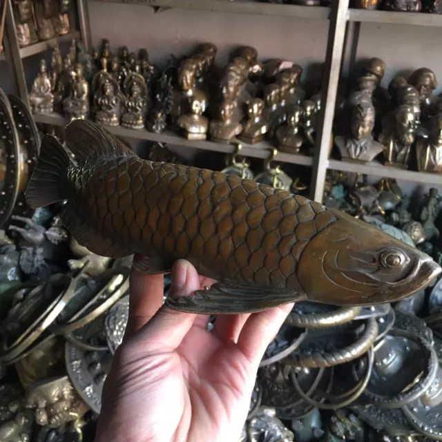 Rare fengshui Bronze Lucky brass Carved statue ' Fish every year ' Wish U Wealth