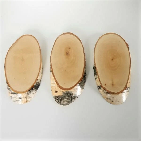 3 Pieza Abedul Signos Escudo de Trofeo Corzo Cornamenta Baumscheibe Madera Moda