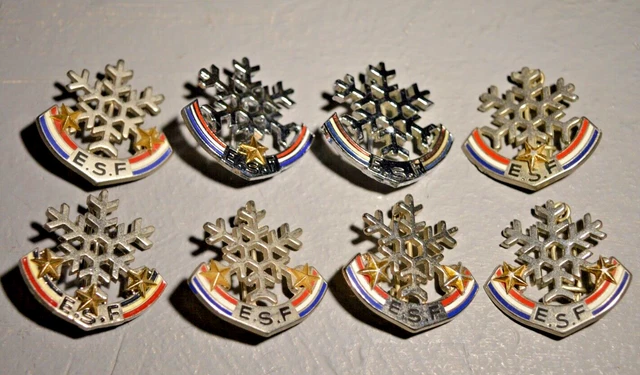 LOT Broche de Ski / Flocon Etoile ESF / Insigne Médaille Brevet Ski