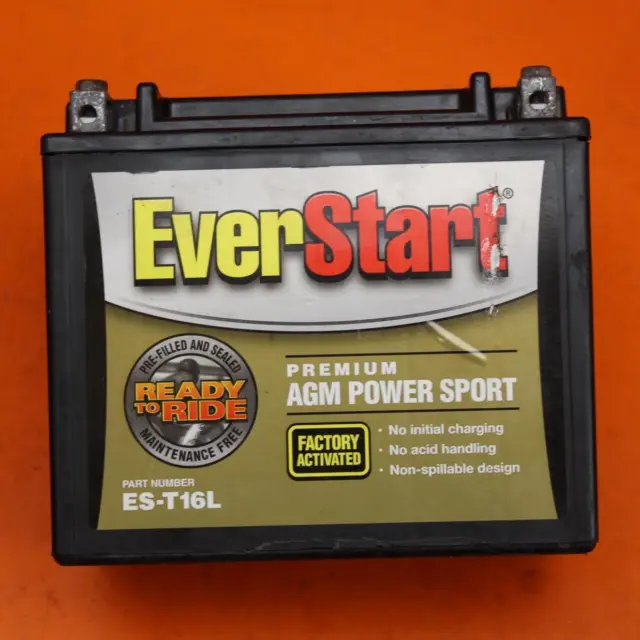 2006-2011 Kawasaki Ninja Zx14 Zx14R Agm Everstart Battery