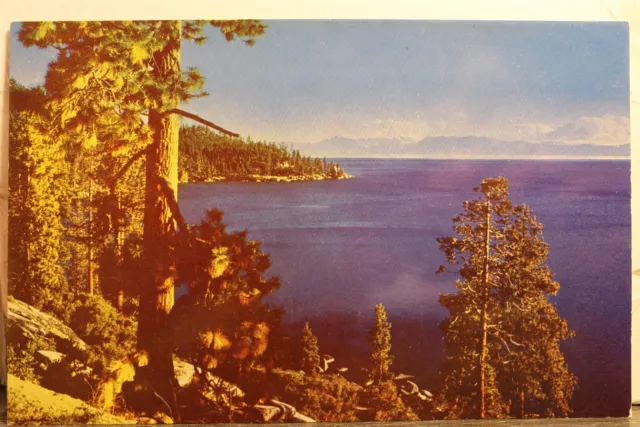 California CA Lake Tahoe Mt Tallac Postcard Old Vintage Card View Standard Post