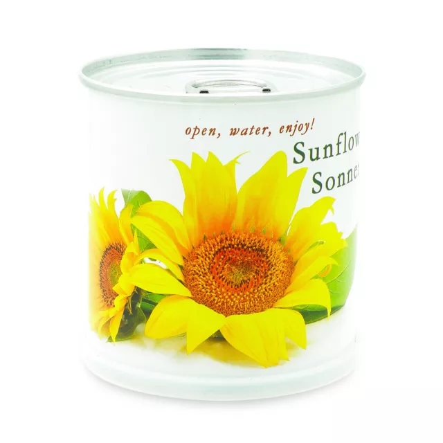 Sonnenblume - Blumen in der Dose von MacFlowers