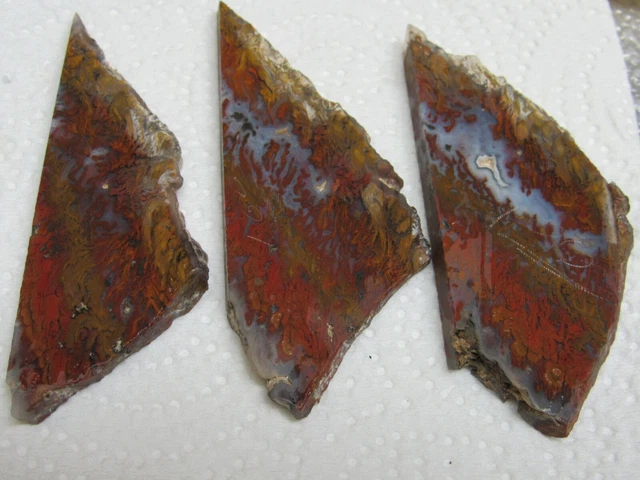Flame Plume Agate 3 slices slabs ready for cabbing Red Brown Orange Yellow moss