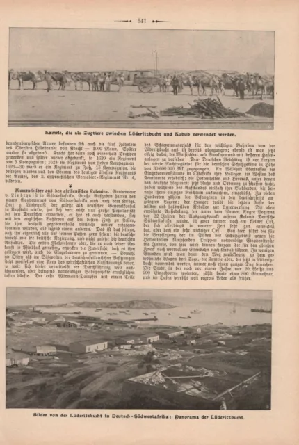 Lüderitzbucht Deutsch-Südwestafrika DSWA Foto Artikel Zeitung von 1905